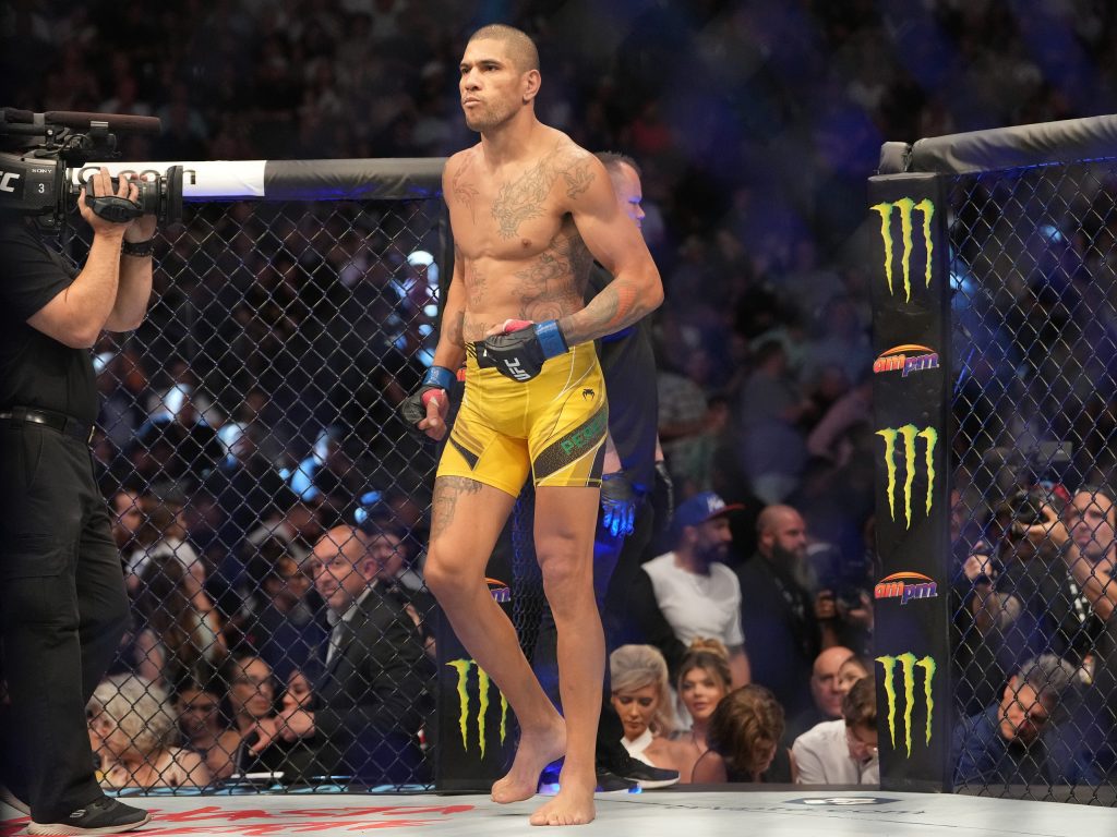 UFC 295