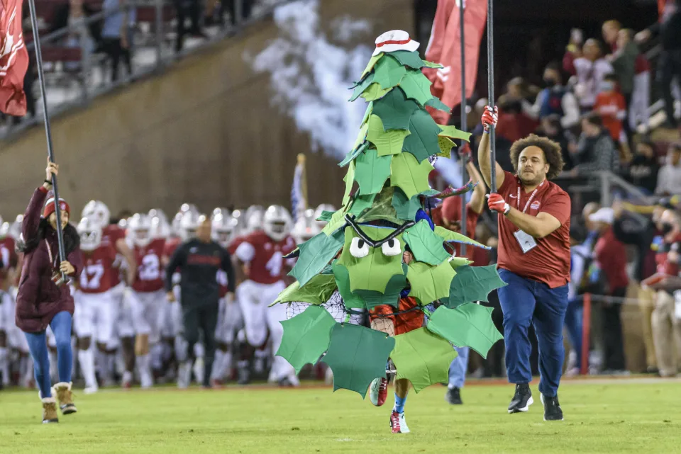 Stanford Tree Suspended