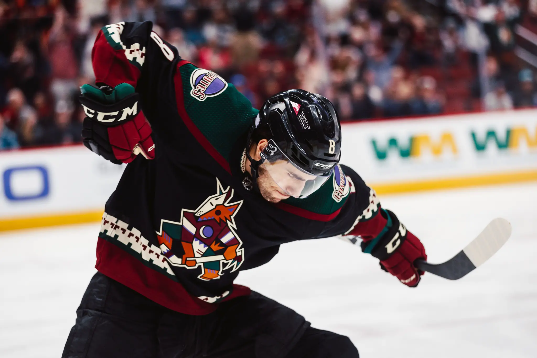 Arizona Coyotes