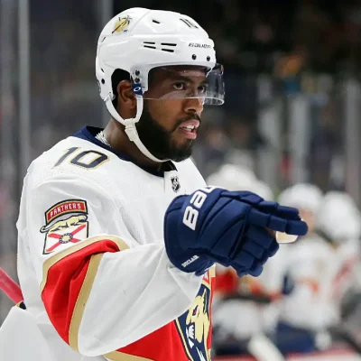 Anthony Duclair