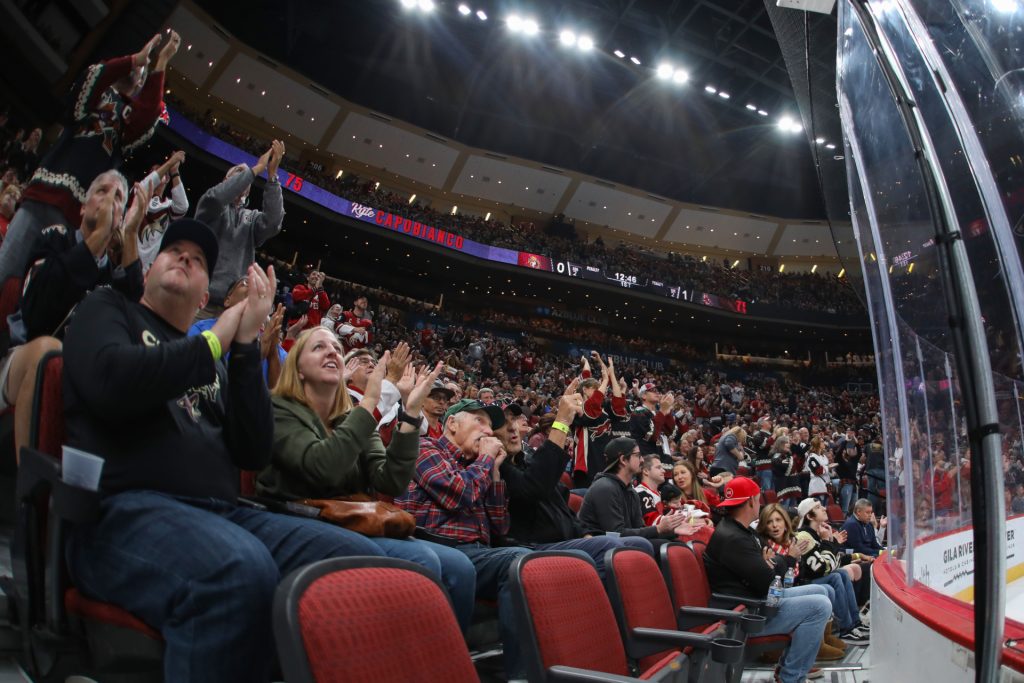 Arizona Coyotes