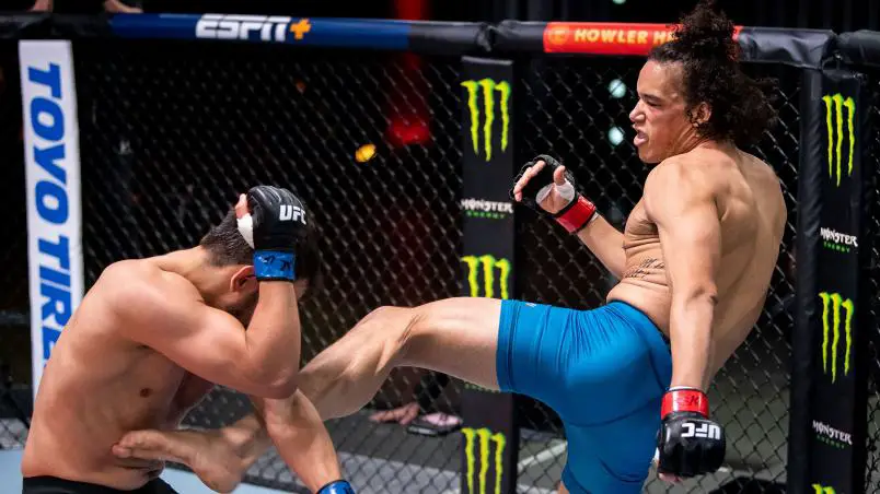 The Ultimate Fighter 29