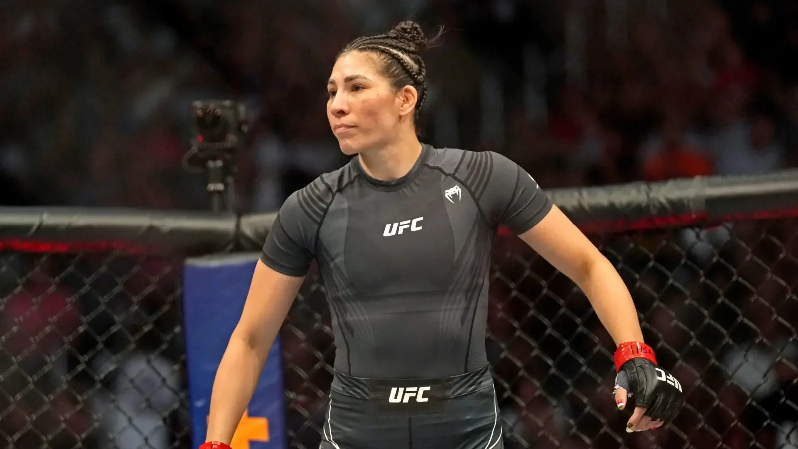UFC 289 Bets