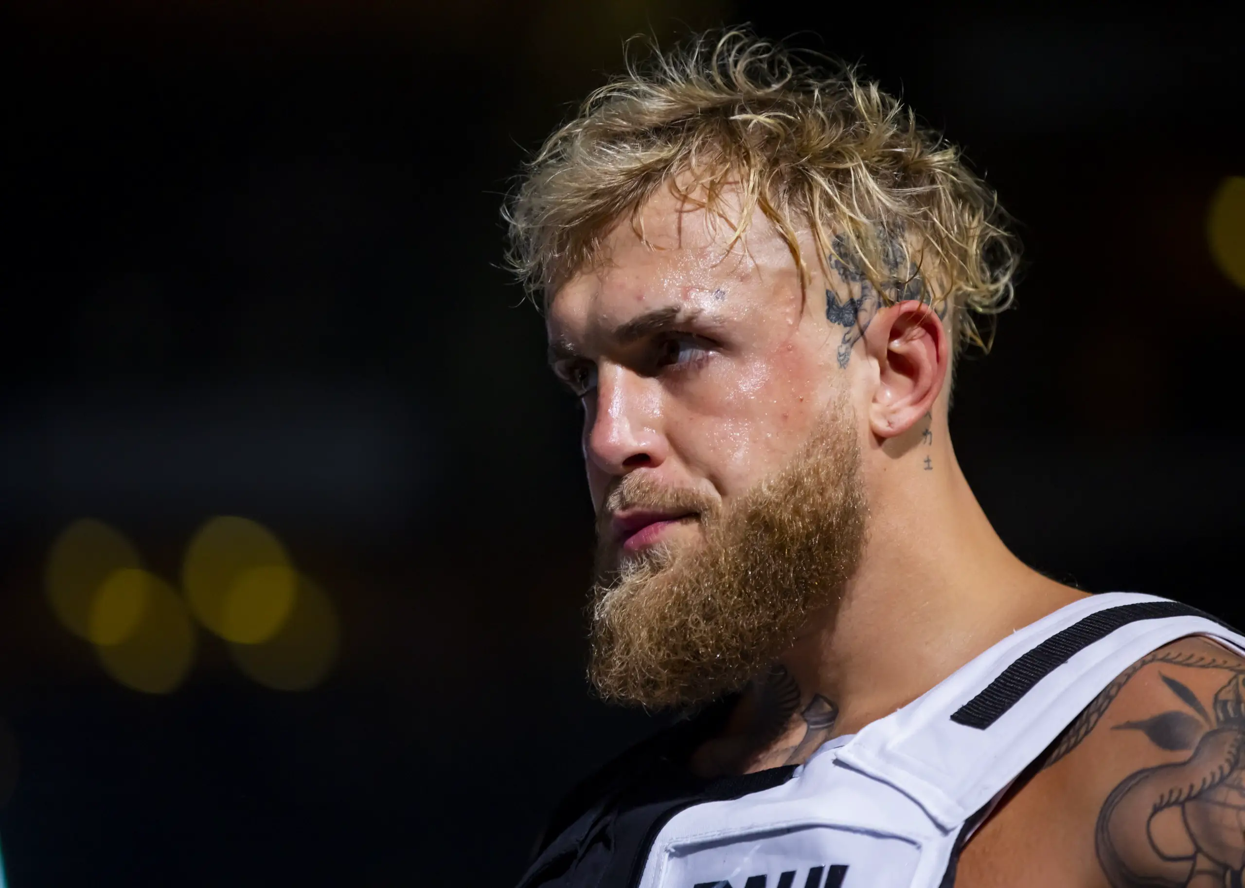 Jake Paul Conor McGregor
