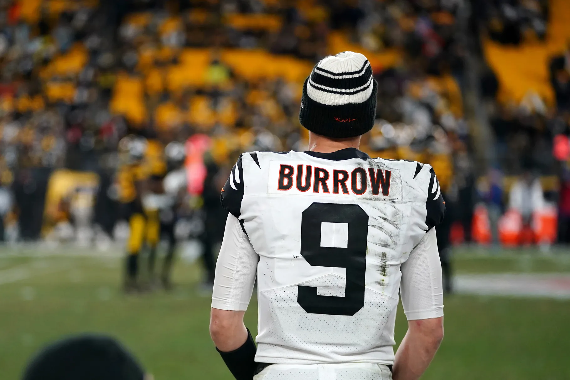 Joe Burrow Carson Palmer