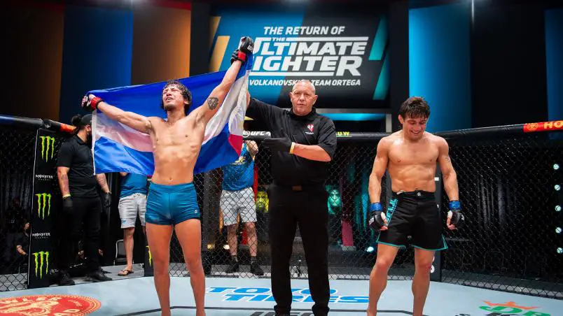 The Ultimate Fighter 29
