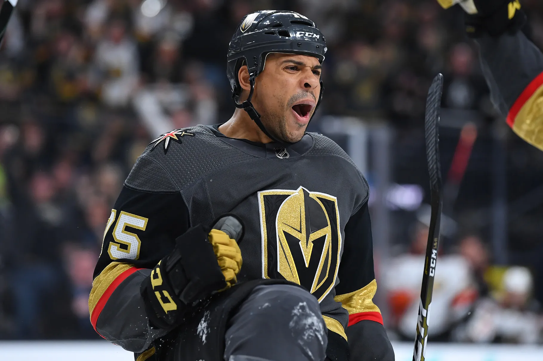 Ryan Reaves