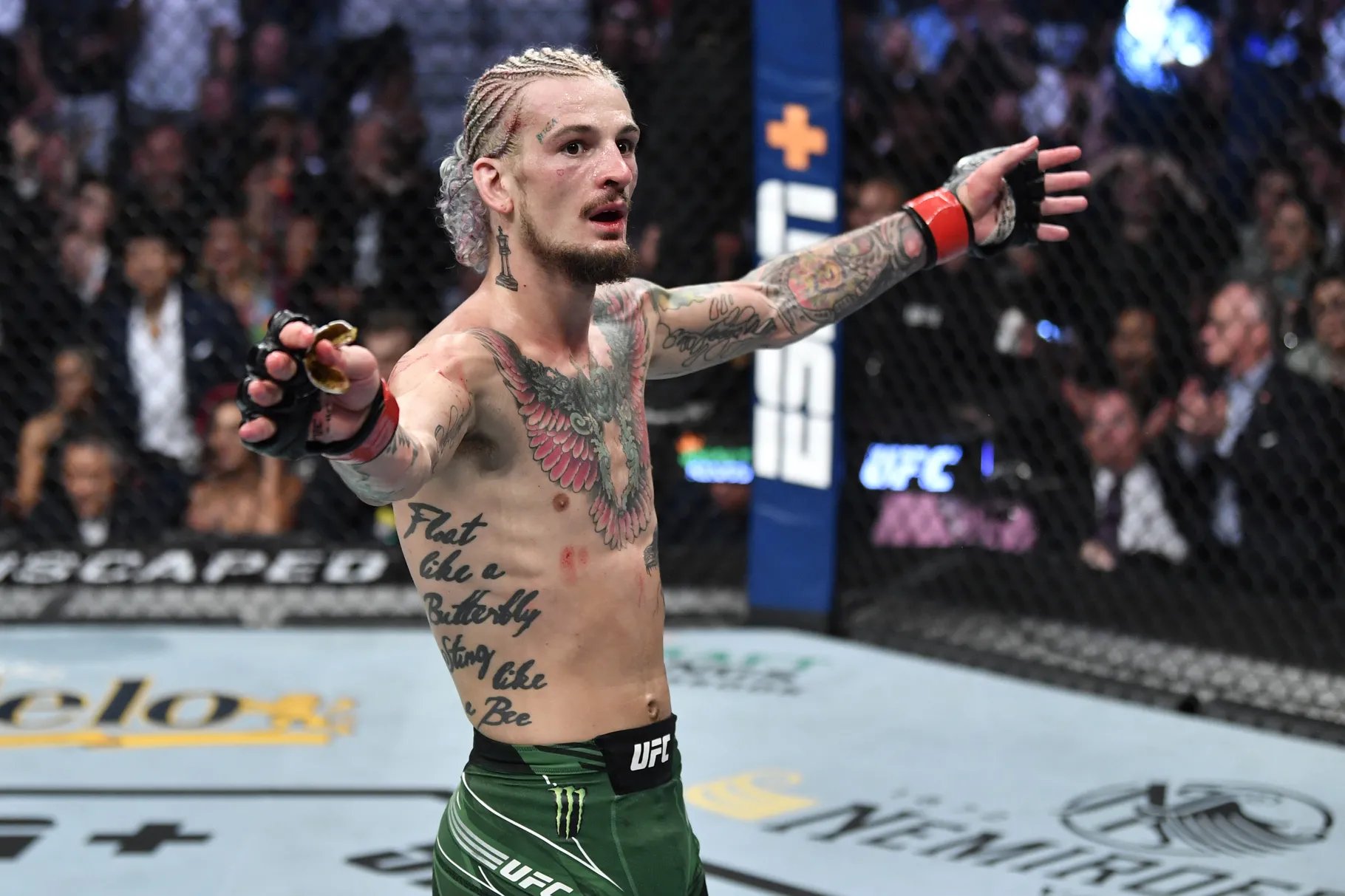 future UFC champion