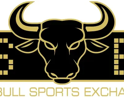 SimBull NBA