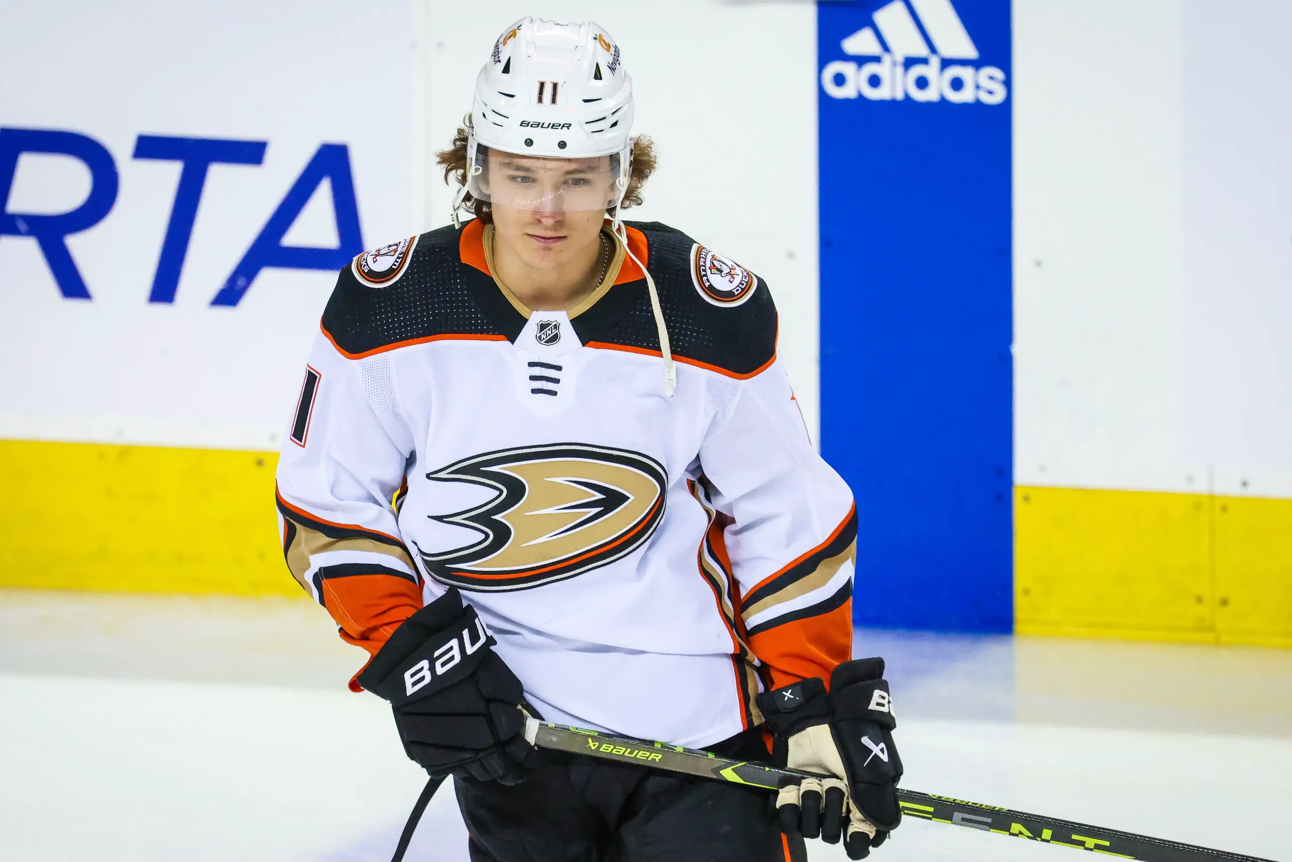 Anaheim Ducks