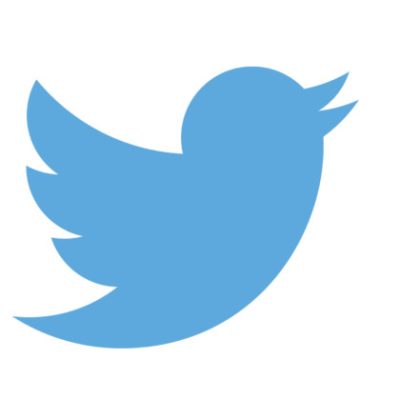 Fake Twitter Reporters