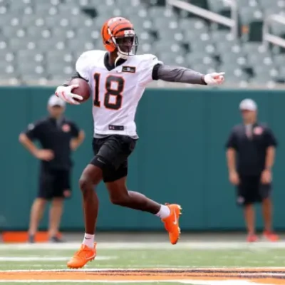 Cincinnati Bengals