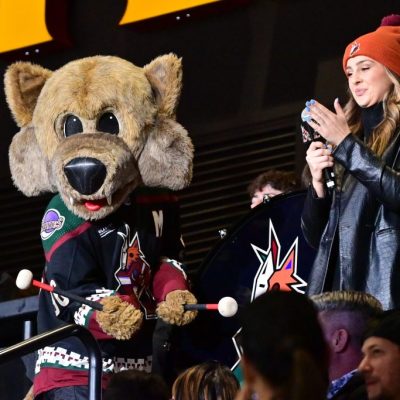 Arizona Coyotes