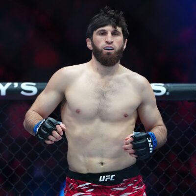 UFC 313
