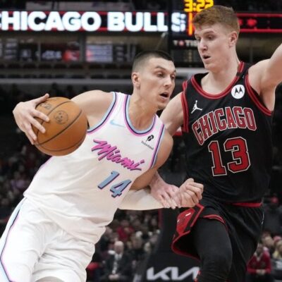 Heat Bulls